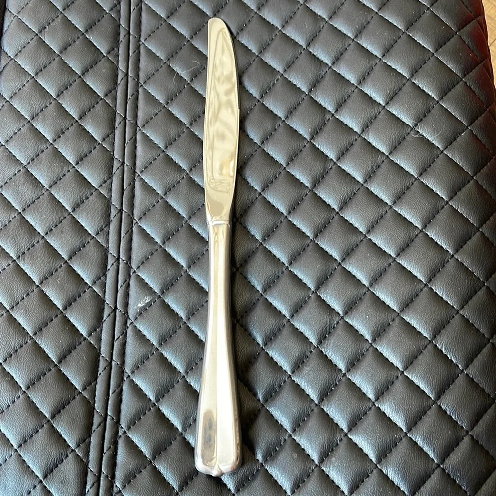 2 New Oneida Impulse Gala Dnner Knives
